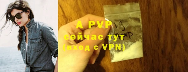 крисы Алексин