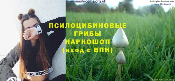 крисы Алексин