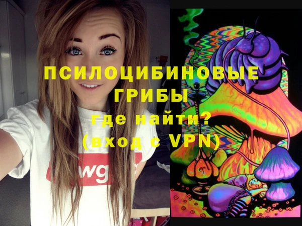 гидропоника Алзамай