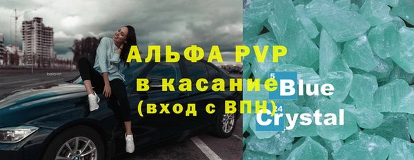 крисы Алексин