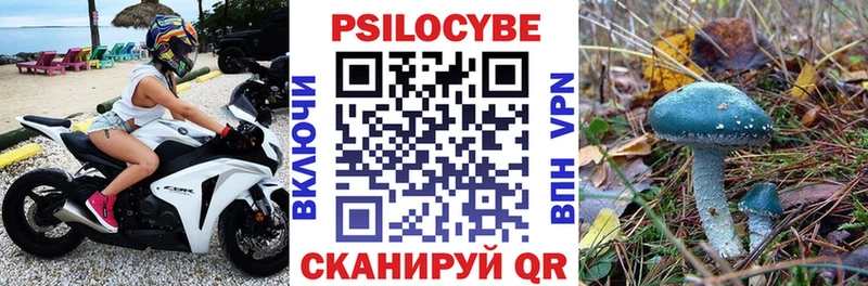 где купить   Льгов  Псилоцибиновые грибы Psilocybine cubensis 