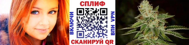 Конопля планчик  дарнет шоп  Льгов 